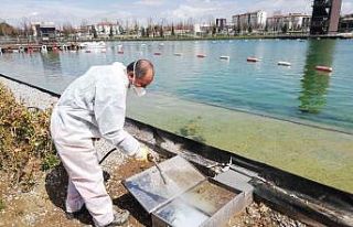 Çorum’da vektörel mücadele çalışmaları sürüyor