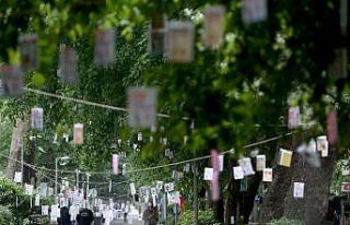 Cumhuriyet Bulvarı’nda ağaçlar kitaplarla süslenecek