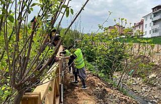 Damlar Vadisi Millet Bahçesi’nde hummalı çalışma...