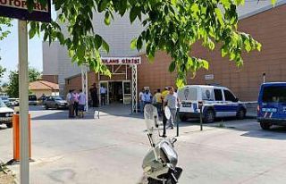 Dayı ve yeğenin zeytin ağacı kavgasında kan aktı