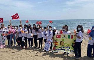 Deniz kaplumbağalarının üreme alanlarında sahil...