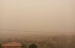 Derecik toz bulutu altında