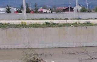 Derede mahsur kalan köpeği itfaiye ekipleri kurtardı