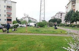 Derince’de yeşil alanlar yaza hazırlanıyor