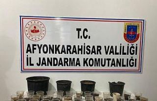 Devriye gezen ekipler çiçek saksısında kenevir...