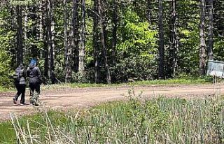 Doğa tutkunlarının rotası Topuk Yaylası oldu