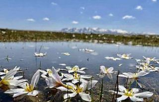 Doğu’da hava soğuyacak