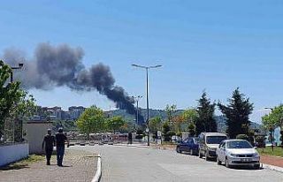 Dolgu alanındaki yangın korkuttu