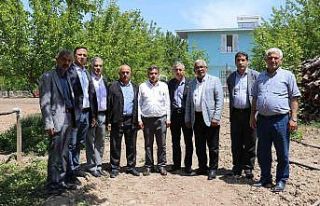 Don mağduru kayısı üreticilerine muhtarlardan...