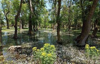 ’Dünya miras değil emanet’