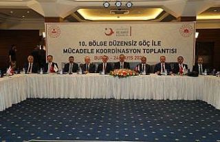 Düzensiz göçmen akımı için çözüm önerileri...