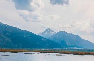 Eber Gölü’nde süzülen flamingolar güzellikleriyle...