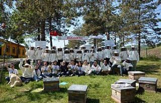 Ekosistemin geleceği arıların kanatlarında
