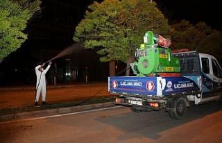 Elazığ Belediyesi ilaçlama çalışmalarına devam...