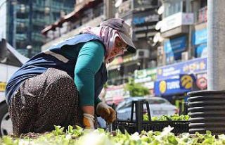 Elazığ, kadın eliyle güzelleşiyor