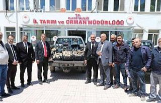 Elazığ’da 1 ton 150 kilogram kaçak avlanan balık...