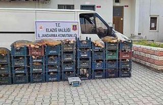 Elazığ’da 3 kaçak avcıya, 22 bin lira ceza kesildi
