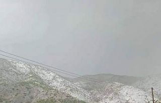 Elazığ’da kayısıyı dolu vurdu
