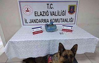Elazığ’da uyuşturucu operasyonu: 1 gözaltı