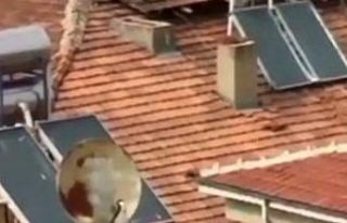 Elazığ’da vatandaşın çatıdaki tehlikeli yürüyüşü...