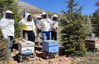 Elbistan’da arıcılık kursu sona erdi