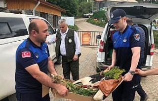 Elektrik akımına kapılan leylek için ekipler seferber...