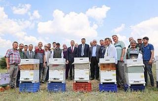 Emet’te arıcılık canlandırılıyor