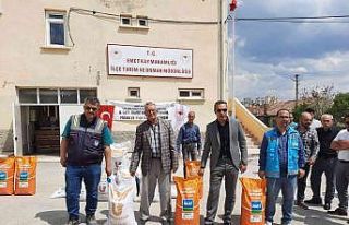 Emet’te çiftçilere yüzde 75 hibeli ayçiçeği...
