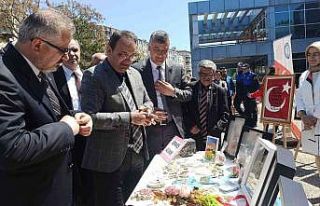 Engelsiz bir toplum hayali