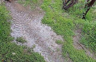 Erciş’te yağmur ve dolu yağışı