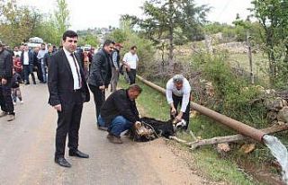 Erdemli’de sulama suyu sevinci