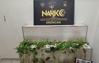 Erzincan’da 3 ayrı uyuşturucu operasyonunda 3...