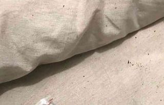 Esenyurt’ta lüks siteye düzenlenen baskında çok...