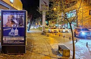 Esnaftan sokak hayvanları için örnek davranış