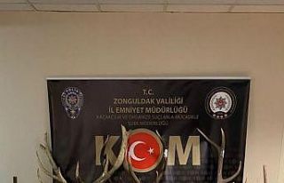 Evinden çıkanlar şoke etti, rekor ceza yedi