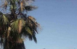 Evinin çatısından düşen şahıs, 3 hafta sonra...