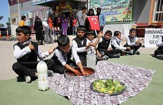 Eyyübiye kırsalında bahar şenliği