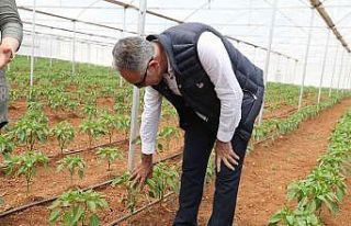 Eyyübiye seraları açılışa gün sayıyor