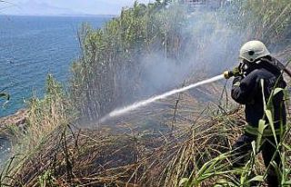 Falezlerde kargılık alanda yangın