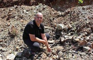 Fidan dikerken bulunan cüzdanın 20 yıl önce çalındığı...