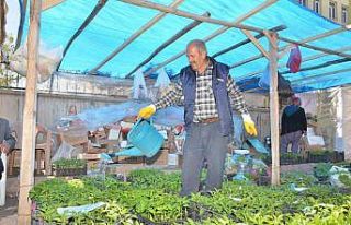 Fideler görücüye çıktı