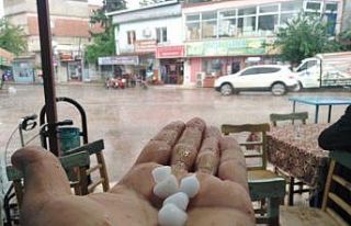 Gaziantep’te dolu yağışı etkili oldu
