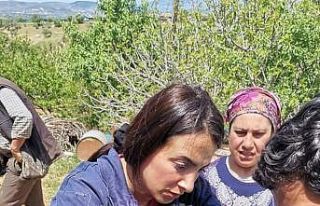 Gediz’de İlçe Tarım ve Orman Müdürlüğü ekiplerinden...