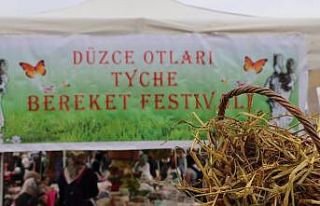 Geleneksel Düzce Otları Bereket festivali başlıyor