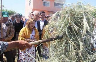 Geleneksel yöntemlerle yapılan firik ütme başladı