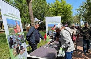 Gemlik’in ata tohumları Çanakkale’de