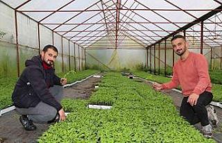 Gençlere büyük destek