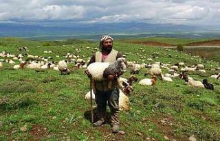 Göçerlerin zorlu yolculuğu başladı