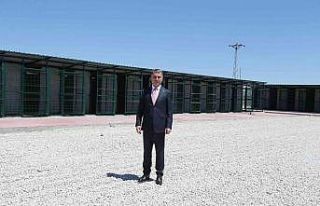 Gölbaşı Belediyesi’nden sokak hayvanları için...