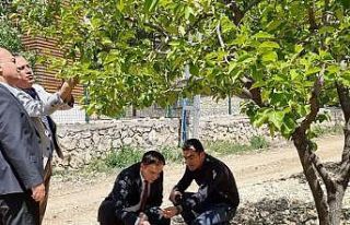 Gölbaşı ilçesinde tarım arazileri ve bahçelerde...